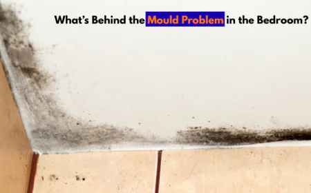 What’s Behind the Mould Problem in the Bedroom?