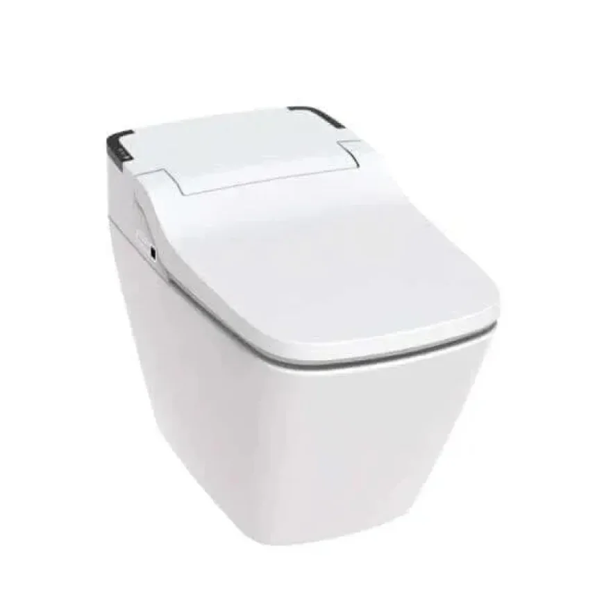 Integrated Bidet Toilets: Leading the Way in Modern Bathroom Comfort