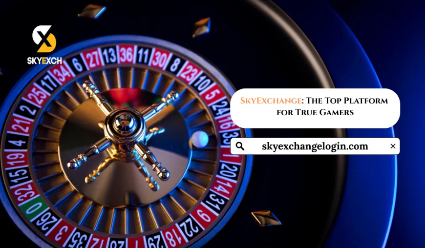 SkyExchange: The Top Platform for True Gamers