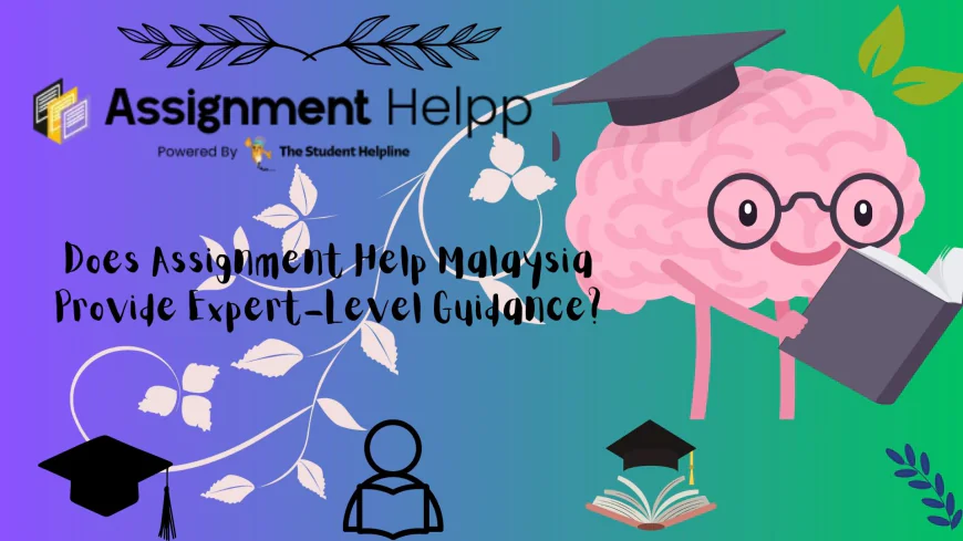 Does Assignment Help Malaysia Provide Expert-Level Guidance?