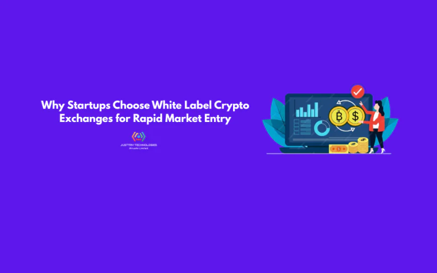 Why Entrepreneurs Choose White Label Crypto Exchanges for Rapid Market Entry in 2026