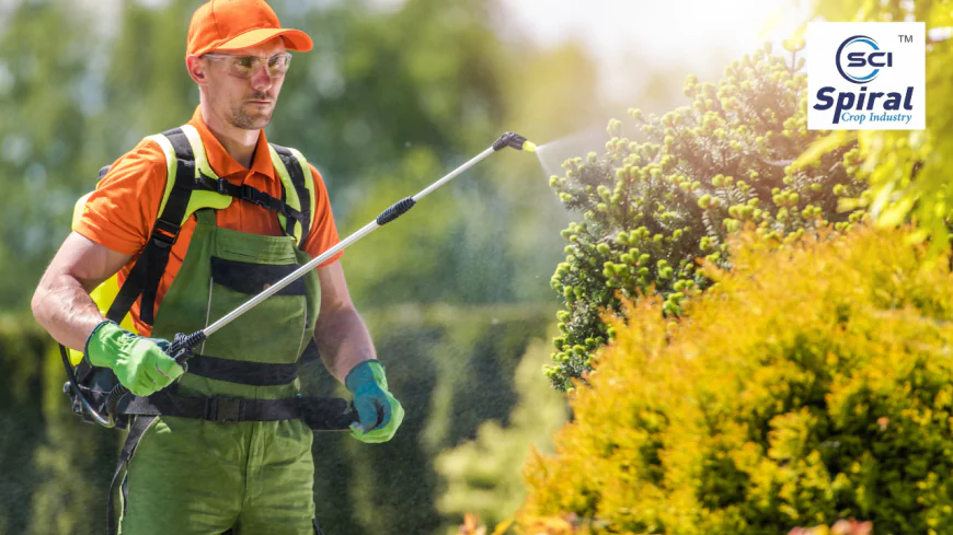 Expert Tips for Using the Best Insecticide in India Safely and Effectively