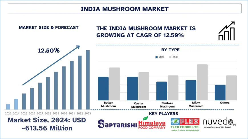 India Mushroom Market Size & Trends Forecast (2025-2033) | UnivDatos