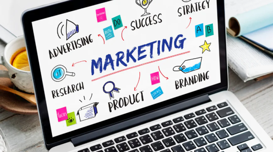 Affordable SEO Packages to Boost Online Growth & Visibility