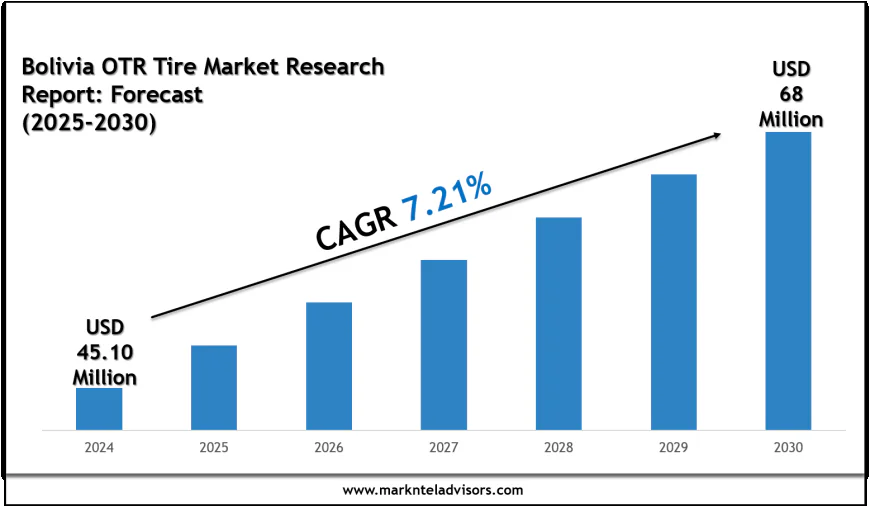 Bolivia OTR Tire Market Share, Size & Competitive Analysis 2030