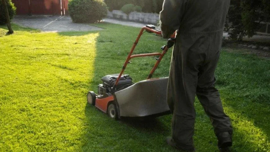 Should You Invest in Expert Lawn Seeding Services This Spring?