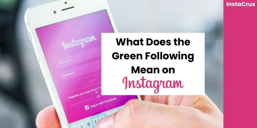 Green Following Button Instagram: What It Really Means