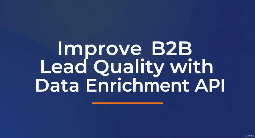 Improve B2B Lead Quality with Data Enrichment API