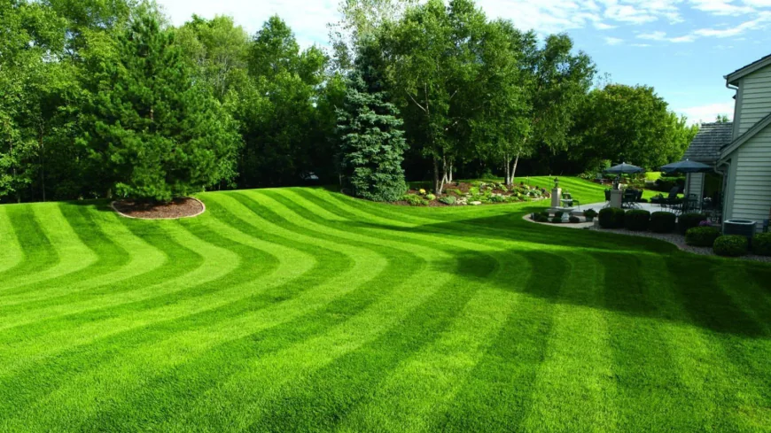 Preparing Your Lawn for Seasonal Transitions