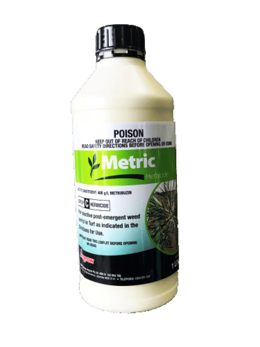 Crowsfoot Grass or Goosegrass