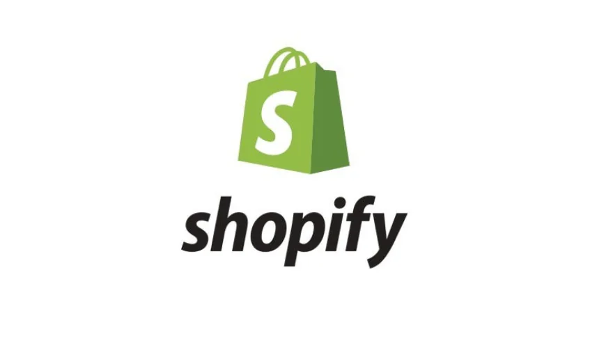 Shopify Plus Consultant: Unlocking Enterprise Ecommerce Success