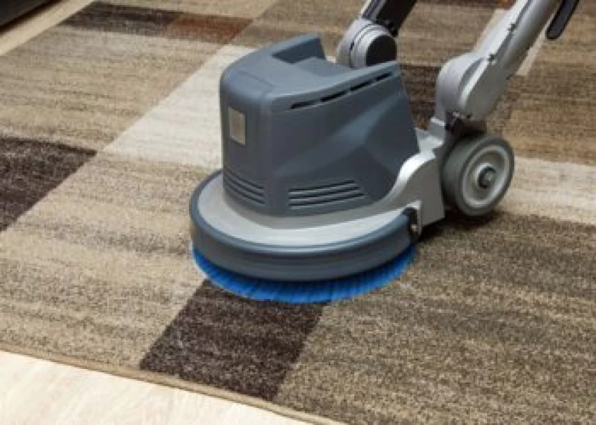 Eco-Friendly Carpet Cleaning Services That Go the Extra Mile