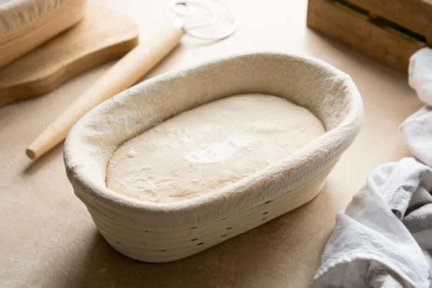 The Complete Guide to Bread Proofing Essentials