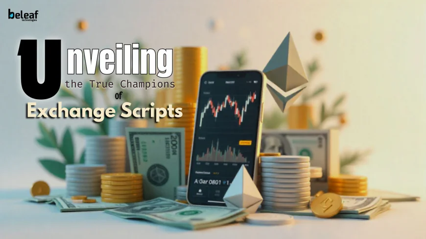 Who Really Wins with Exchange Scripts? A Look at the Biggest Beneficiaries