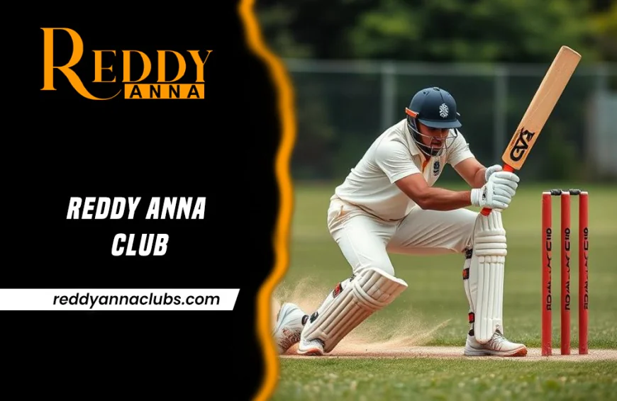 Reddy Anna Club Bonuses and Promotions: What You Should Know