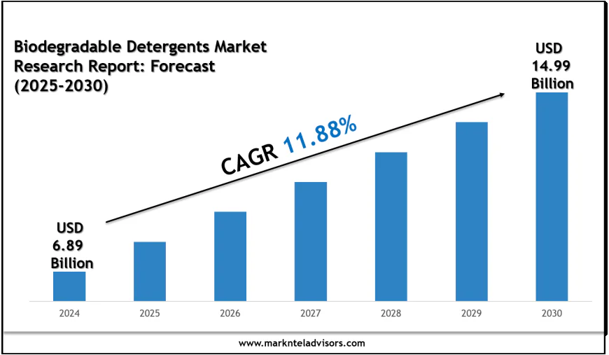 Biodegradable Detergents Market Forecast 2030: Emerging Trends