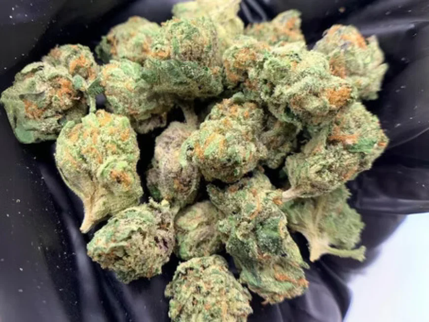 Different Strains of High Potency THCA Flower and Their Profiles