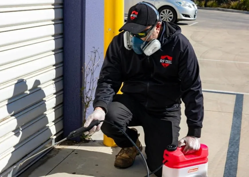 How Does Pest Control Support Safe and Successful Businesses?
