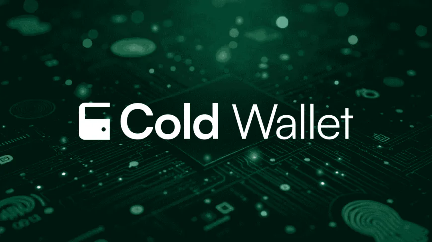How to Choose the Best Cold Storage Crypto Wallet in 2025?