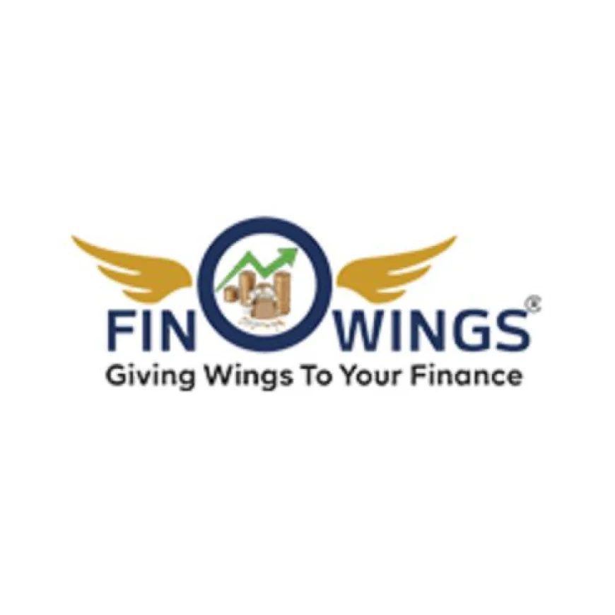Fino Wings Intrinsic Value of Stock | How to Calculate True Worth