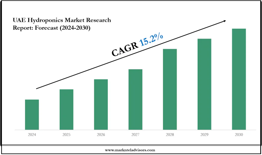 UAE Hydroponics Market 2030: Executive Summary, Key Trends & Future Outlook