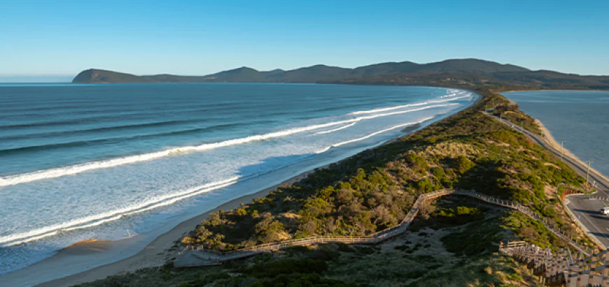 Explore Tasmania’s Wild Side from the Water on Bruny Island Cruises!