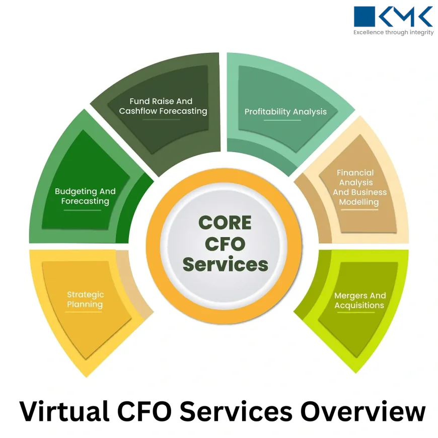What Makes Virtual CFO Services a Game-Changer for Small Businesses? 