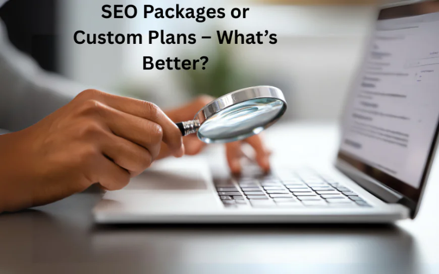 Local SEO Package Pricing vs. Custom Plans: Which One Delivers Better Value?