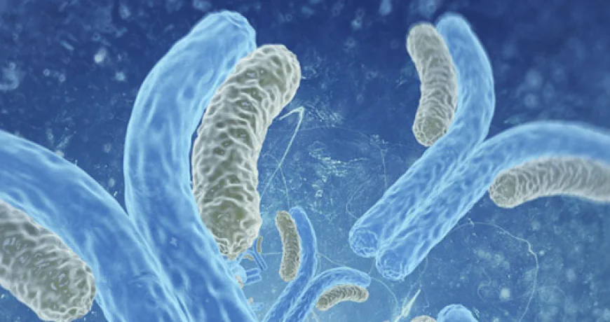 Unveiling the Role of Anti-Glycan Antibodies in Disease Diagnosis and Treatment