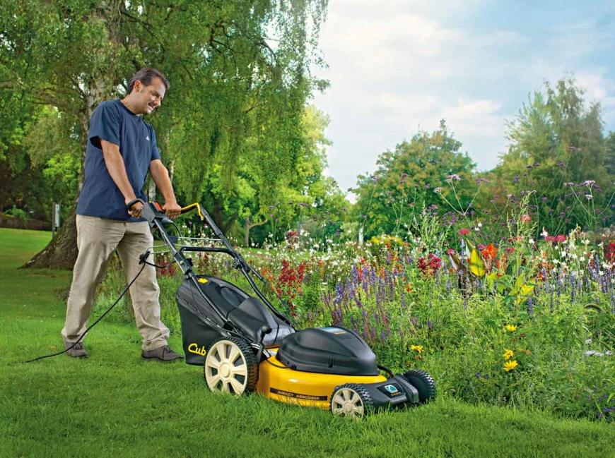 Professional Lawn Care Solutions for a Healthier Outdoor Space