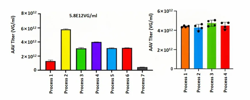 AAV Packaging Services to Accelerate Gene Therapy Research