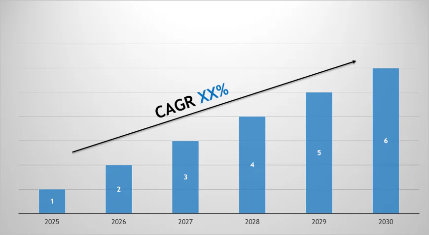 Angola Used Commercial Vehicle Market Share, Size & Competitive Landscape Report 2030