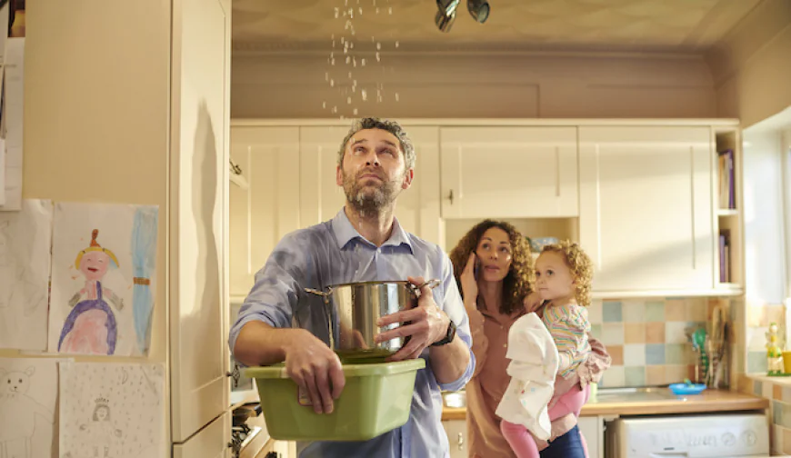 Why Professional Flood Restoration Services Are Essential for Homeowners