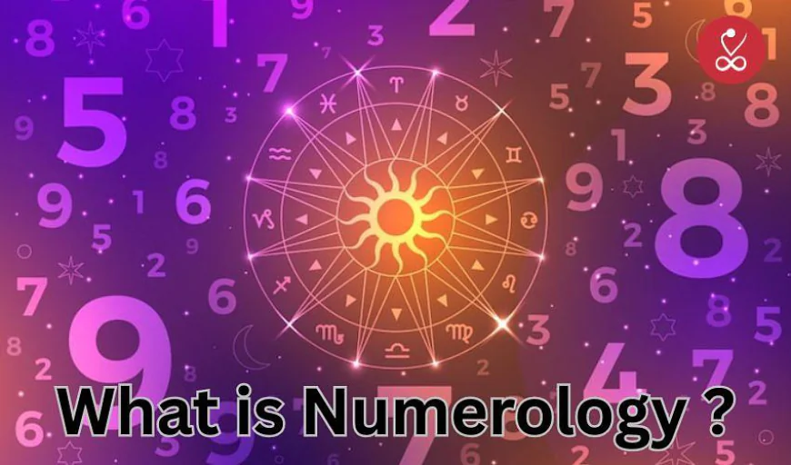 What is Numerology? | Name & DOB Numerology Calculator Guide