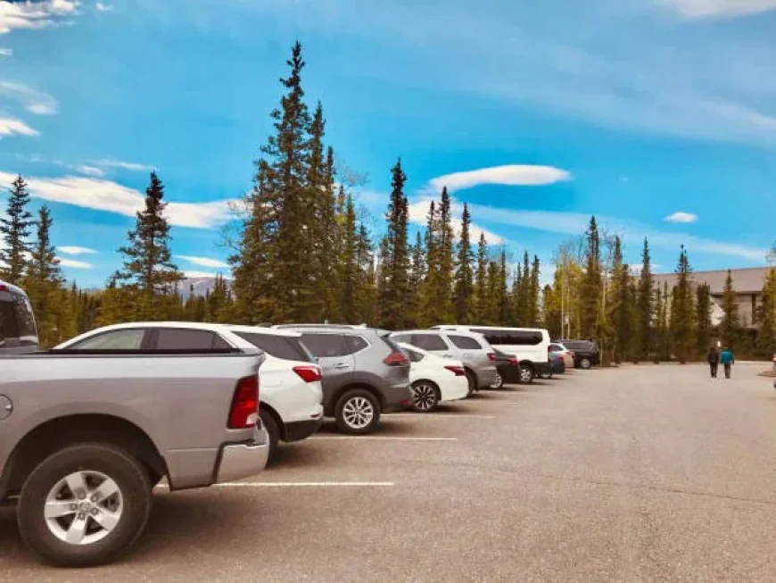 How a Car Rental Company Ensures Punctuality and Comfort for Executives?