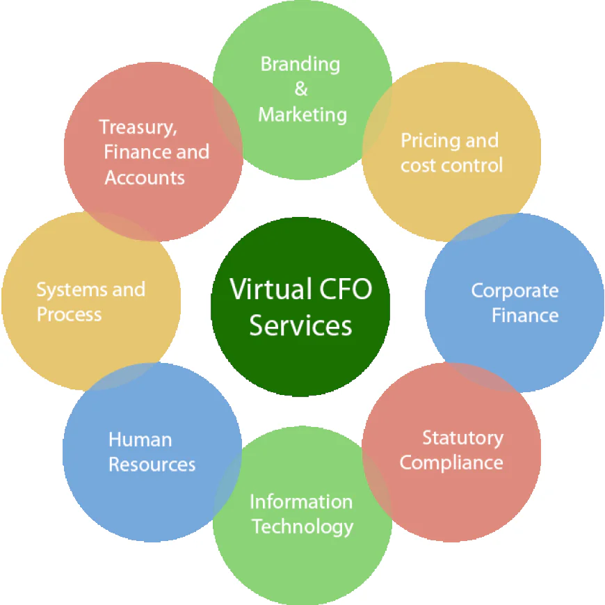 Why Remote CFO Services for Growth Companies Are on the Rise