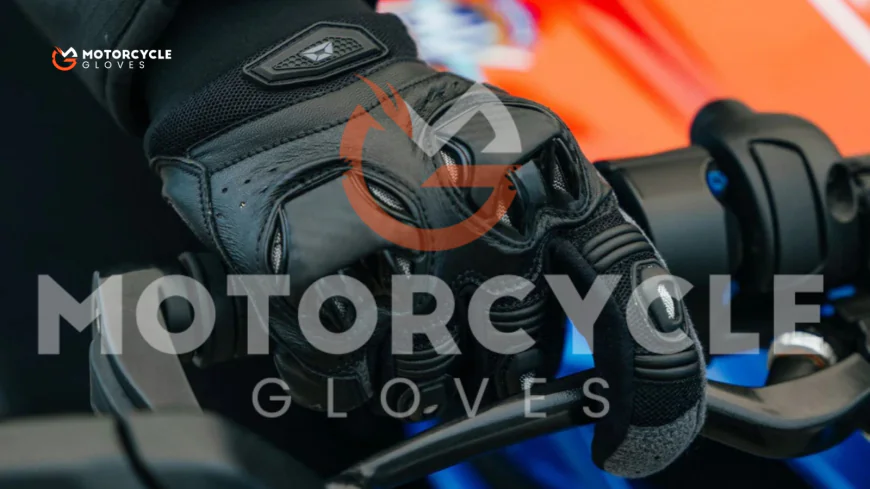 Motorcycle Gloves Store – Premium & Affordable Gloves for Riders