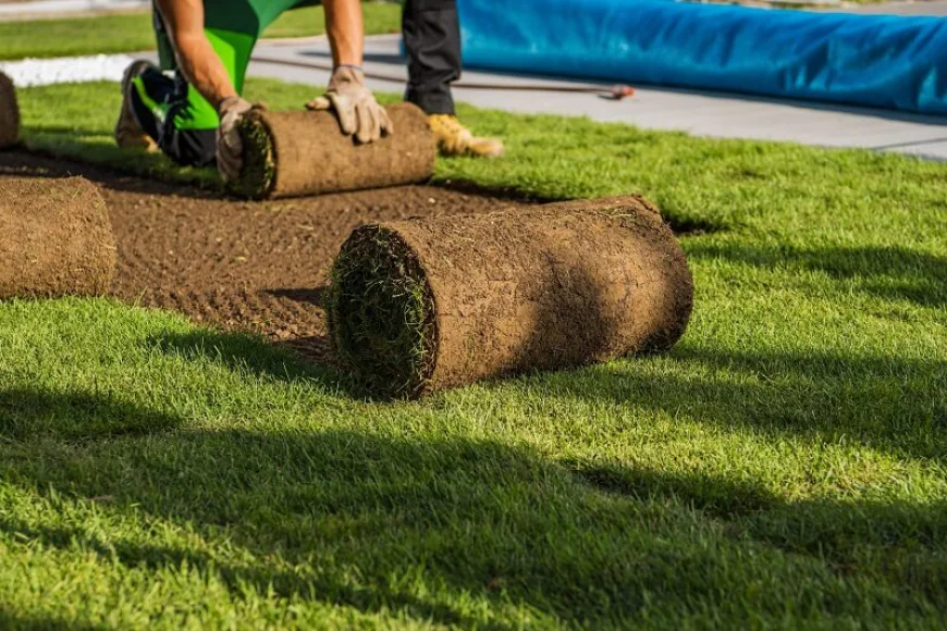 Essential reasons to hire trusted services of turf installation and landscaping services