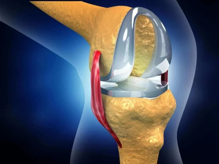 The Role of Physical Therapy After Joint Replacement Surgery in Bharuch