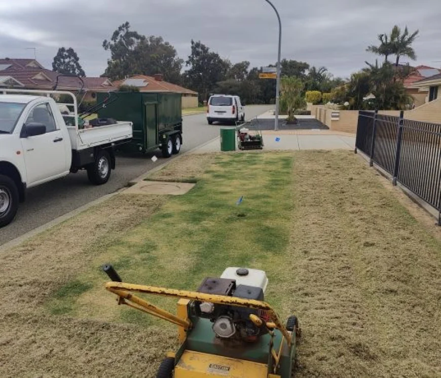 Can Dethatching Improve the Health of a Buffalo Lawn?