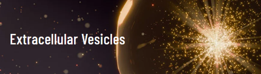 Amerigo Scientific Expands Portfolio with High-Purity Extracellular Vesicle Research Products