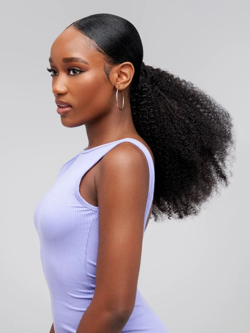 Ponytail Chronicles: The Power, The Play, and The Perfect Flip for Every Black Queen