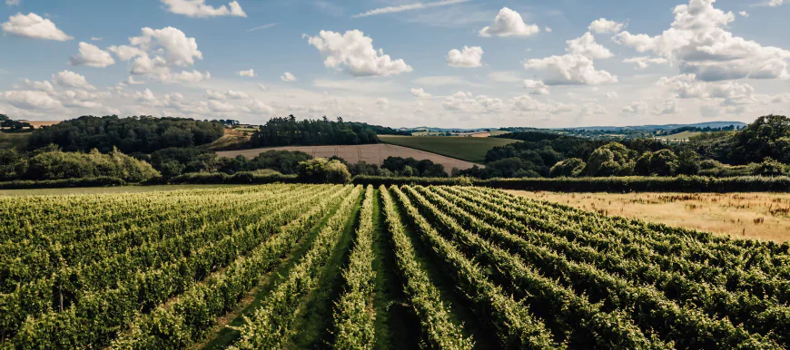 Explore the Best Holiday Lodges in Herefordshire: Your Ideal Countryside Escape