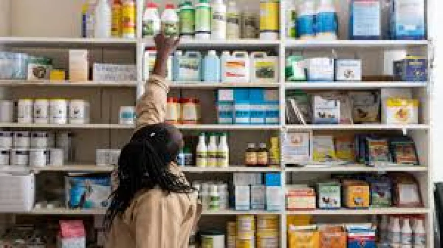 Top Qualities to Look for in a Reliable Veterinary Medicine Company in India