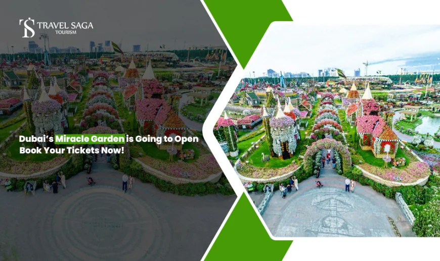 Dubai's Miracle Garden is Going to Open. Book Your Tickets Now!