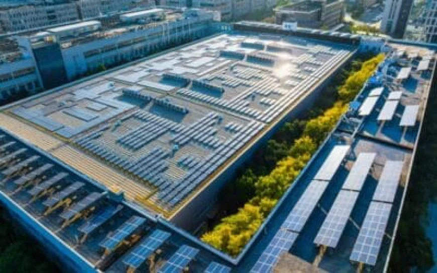 How Can a Power Solar Agency Make Your Business Energy Independent?