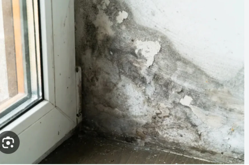 The Most Common Places Asbestos Is Found in Older Calgary Homes