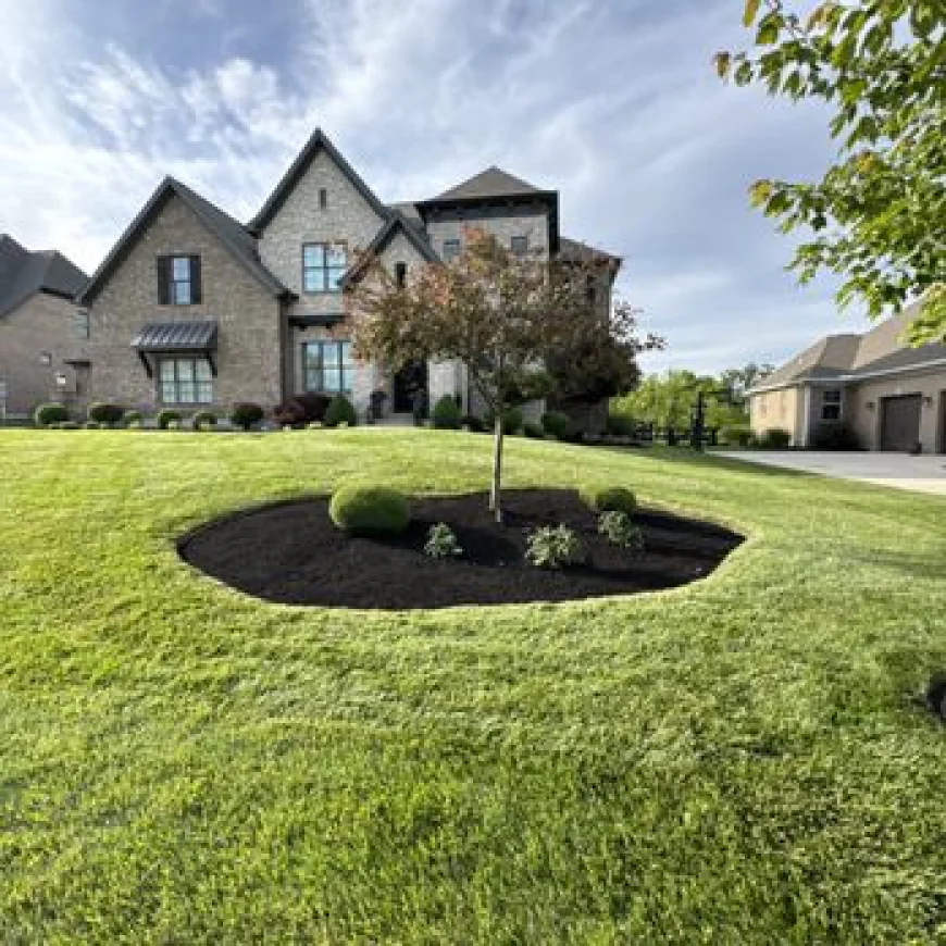 Transform Your Landscape with Professional Drainage Solution Services in Liberty Township