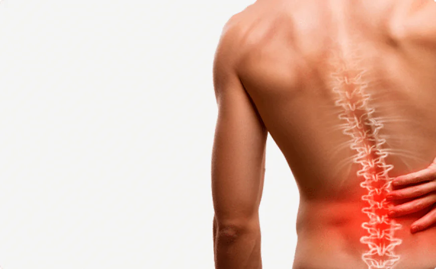 What Treatments Does a New Jersey Back Doctor Offer?