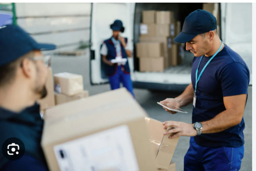 Why Professional Services Are Key to Stress-Free Appliance Care